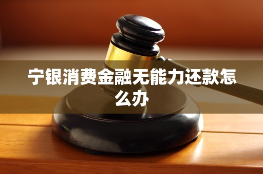 宁银消费金融无能力还款怎么办