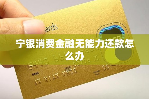宁银消费金融无能力还款怎么办