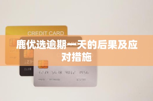 鹿优选逾期一天的后果及应对措施