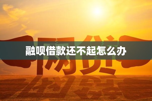 融呗借款还不起怎么办