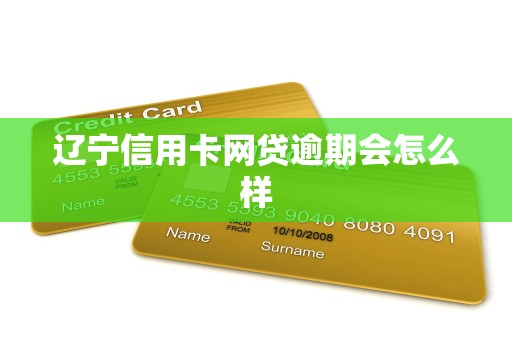 辽宁信用卡网贷逾期会怎么样