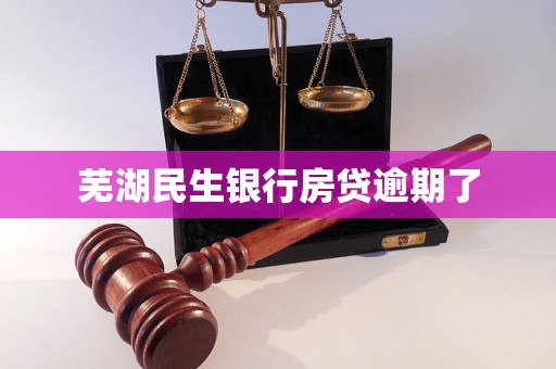 芜湖民生银行房贷逾期了