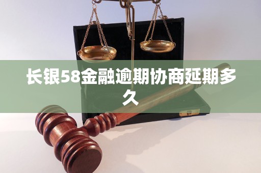 长银58金融逾期协商延期多久