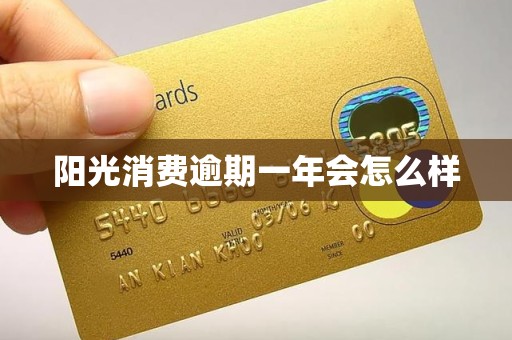 阳光消费逾期一年会怎么样