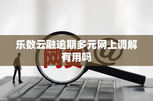 乐数云融逾期多元网上调解有用吗