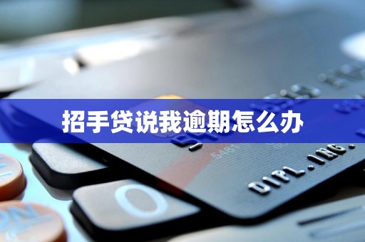 招手贷说我逾期怎么办