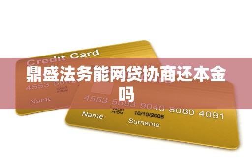 鼎盛法务能网贷协商还本金吗