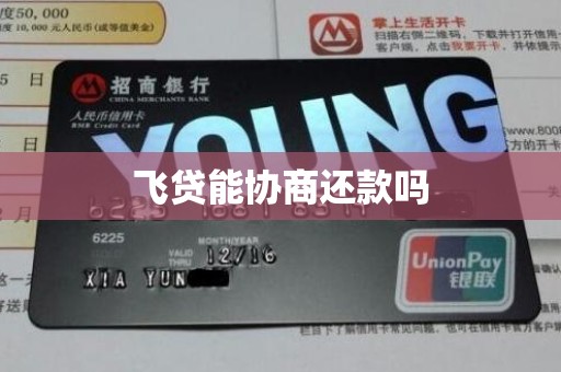 飞贷能协商还款吗