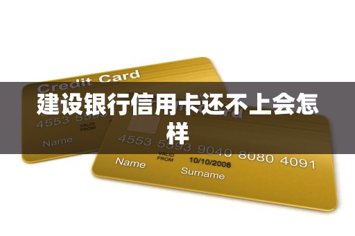建设银行信用卡还不上会怎样