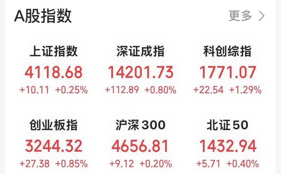 500亿市值龙头，盘中触及涨停