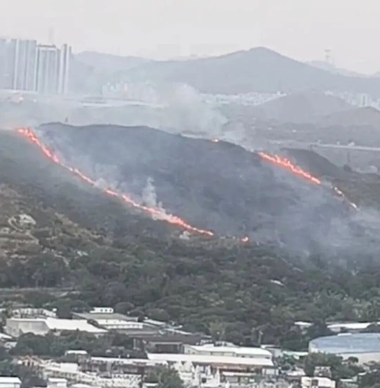 持续燃烧数小时!香港突发山火,连绵上百米,深圳多处可见“火龙”,最新消息